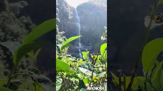 maskeliya gartmore falls