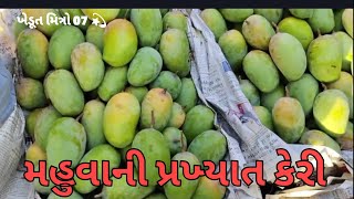 મહુવાની પ્રખ્યાત કેરી🥭(જમાદાર કેરી,કેસર કેરી🥭) આજના બજાર ભાવ🔥 #કેરી #ખેડૂત #live #bajarbhav #viral.