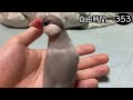 文鳥飼育日記シーズン2第683回目