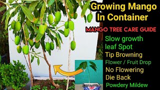 How to Grow Mango Plant and take care | Mango Tree All Deseases and Best Treatments with updates