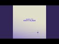 Kvitt flagg