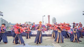 [4K] 有閑踊り子一座 飛舞人　神戸よさこいまつり 2019 本祭1日目