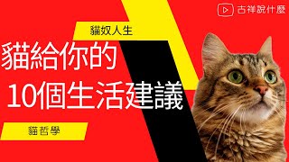 『貓哲學』  貓給你的十個生活建議