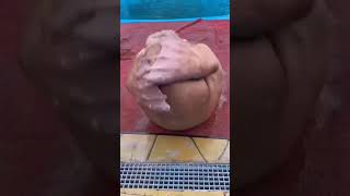 The Walrus Amazing Push Up Very Funny Video#short# shorts