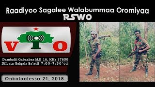 RSWO-21/10/18: Hoogganni ABO_Obbo Daawudiin Hoogganamuu, WBO Hiikkachiisuuf Yaalii Gochaa Jiraachuu