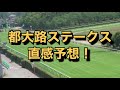 2021年5月15日（土）各場メインレース 八海山ステークス、都大路ステークス、京王杯スプリングカップ（g2）