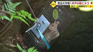 深さ13ｍの井戸からネコ救出　救助に向かった消防隊員かじられ2人がかりで“確保”　静岡・掛川市