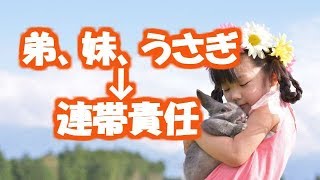 【ほっこり・家族】もう家族に溶け込んでしまって