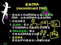 10701高二基礎生物ch4 4 02重組dna二數