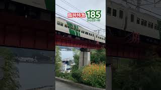 伊東線を走る臨時特急185 #shorts #jr東日本 #185系 #臨時列車