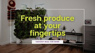 Fresh Produce At Your Fingetips With The Harvest Wall For Home