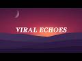 Viral Echoes || Lyrics || MT