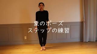 カラリパヤットのレッスン動画(オンデマンド) on-demand Kalaripayattu