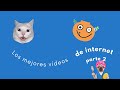 Los mejores videos de internet parte 2