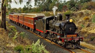 Steam Trains : Steamrail Echuca Overlander Tour