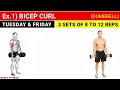 two body parts a day workout plan gym workout two body parts workout schedule