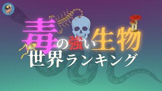 最強の「毒」を持つ生物【世界ランキング発表】