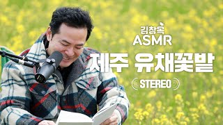 상처받은 과거의 나에게 꼭 해줘야 할 말 [ASMR 유채꽃밭] - 김창옥 ASMR EP.1