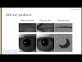 Saliency-Guided Textured Contact Lens-Aware Iris Recognition