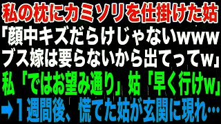 【スカッとする話】私の枕にカミソリを仕掛けた姑「顔中キズだらけじゃないwwwブス嫁は要らないから出てってw」私「ではお望み通り」姑「早く行けw」➡︎１週間後、慌てた姑が玄関に現れ…【修羅場】