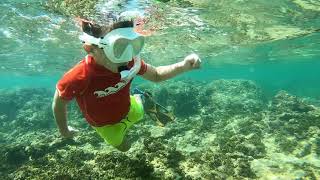 Family Snorkel Trip - Hikkaduwa, Sri Lanka