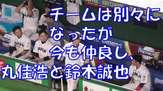 2019 丸佳浩と鈴木誠也チームは別々になったが仲良し!! WBSCプレミア12