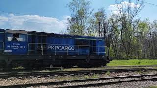 SM31-135 PKP CARGO (manewry)  04.2023 Gliwice Sośnica