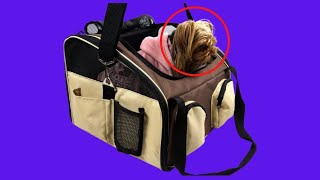Before You Buy Heartland Pet Products Soft Sided Car Seat Carrier for Tiny Dogs Cats Up to 10 lbs