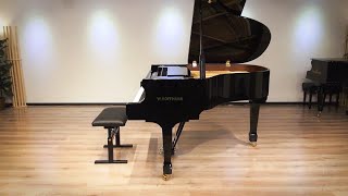 W.HOFFMANN T161 Made by BECHSTEIN　ホフマン　③