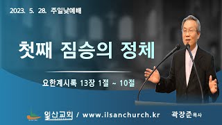 일산교회 맥추감사주일예배(2023.5.28.) / 첫째 짐승의 정체 / 요한계시록 13장 1절 ~ 10절