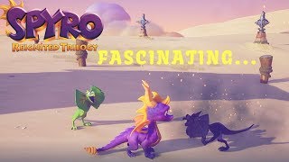 Getting attacked by every enemy in Spyro | All Variation | Spyro reignited Trilogy