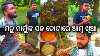 ମନୁ ମାମୁଁଙ୍କ ସହ ଗାଁ ଆମ୍ବ ତୋଟାରେ ଆମ୍ବ ଖିଆ / Jitendra Kumar Sahoo / Odia Vlogs