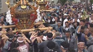 令和６年　江戸川区東葛西＜長島・八雲神社＞例大祭　本社神輿二基（5年ぶり）＝宮出・渡御