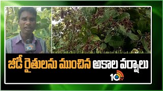 జీడీ రైతులను ముంచిన అకాల వర్షాలు | Huge Loss to Cashew Farmers Over Sudden Rains | Matti Manishi