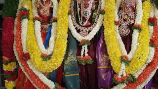 Tayalur sri kashivishweshwara swamy vishesha Alankara