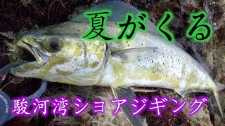 【駿河湾ショアジギング】熱い！！夏がくる