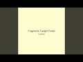 Fragments Twilight Forest