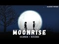 Atif Aslam: Moonrise (Slowed + Reverb) | Amy Jackson | Lofi Song | Danish Pwskr