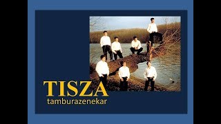 A Tisza tamburazenekar muzsikál