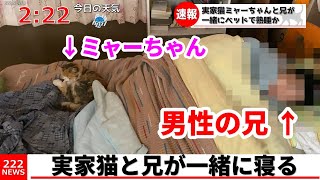 三毛猫のミャーちゃんと兄がベッドの上で一緒に寝ていました。