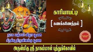 நாகபஞ்சமி விழா பூஜை, திருவிளக்கு பூஜை ஸ்ரீ நாகம்மாள் புத்துக்கோவில்  கணக்கணேந்தல் காரியாபட்டி