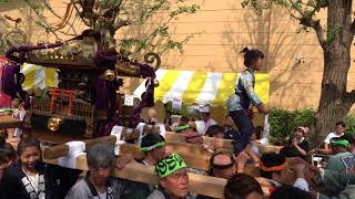 20180527昭島郷土芸能祭本祭り　神輿渡御