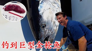 捕魚生死鬥：太猛了，狂拉魚竿1個多小時，釣到巨型藍鰭金槍魚！紀錄片