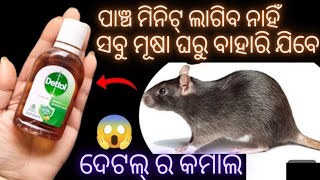 ମାତ୍ର ପାଞ୍ଚ ମିନିଟ୍ ରେ ସବୁ ମୂଷା ଘରୁ ବାହାରି ଯିବେ/kitchen tips/ଦେଟୋଲ ର କମାଲ//rid of mouse