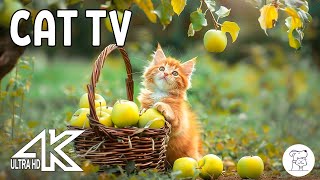 Magic Music for Cats | CAT TV - UNBELIEVABLE Results (Tested 2024)