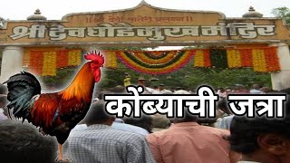 घोड़ेमुख जत्रा मातोंड | कोंब्याची जत्रा | Ghodemukh jatra utsav | Vlog everything