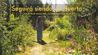 Tour por nuestra Última Huerta en esta casa | Todo está pasando muy rápido!