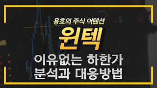 윈텍 이유없는 하한가. 해석과 대응방법