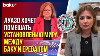 ОЗА осудила предвзятую позицию депутата Европарламента от Франции Натали Луазо