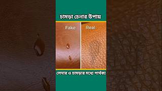 চামড়া ও লেদার চেনার উপায়। অরিজিনাল চামড়া চেনার উপায়। চমড়ার জুতা। লেদারের জুতা। জুতা পরিষ্কার করুন।